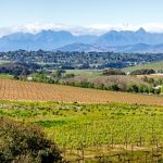 Sale officially closes on landmark Ste. Michelle Wine Estates deal