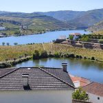 Portugal: A new perspective about styles of wine produced