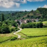 One French vineyard is hoping to reap what it sows from its sustainability pledge