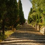 Shortage of supplies affecting Mallorca’s wine industry