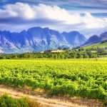 New Zealand’s largest contract winemaker acquires major labour supplier