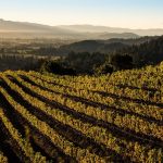 Sotheby’s and Napa Valley Vintners announce first-of-its-kind partnership