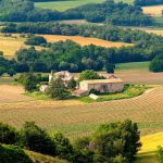 Wines of Provence: vintage report 2021