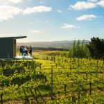 New South Australian Wine Ambassadors Club promotes state’s wine on global stage
