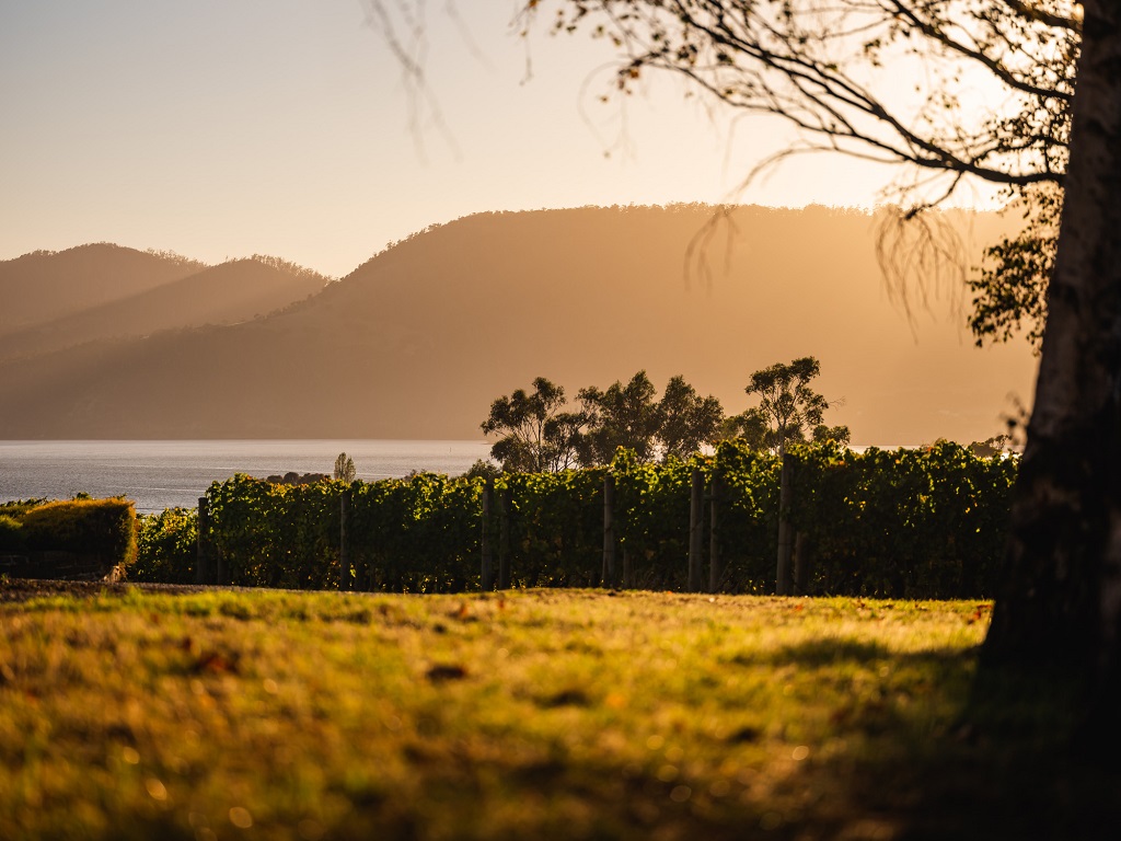 CellarHand secures distribution for Fogarty Wine Group stable of wineries