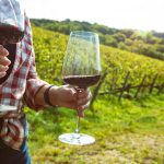 Grape harvesting for wine making storytelling: relaxing after the harvest with a glass