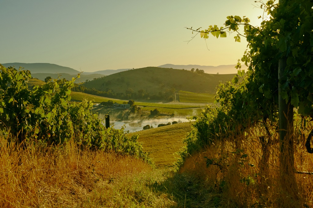 Handpicked Wines achieves certification for sustainable winegrowing