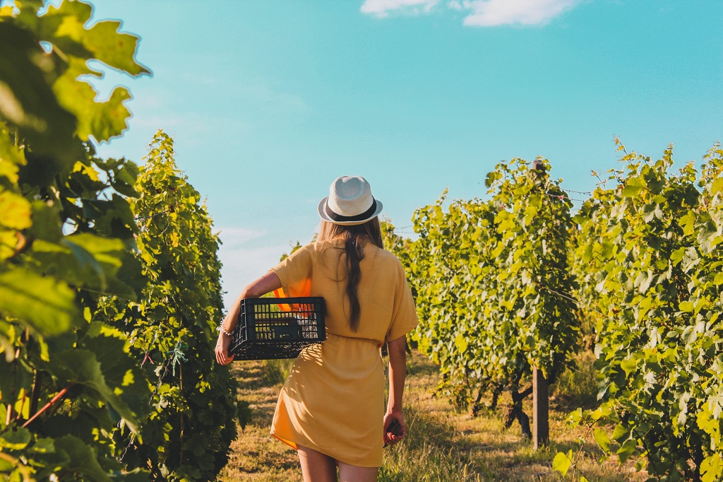 Holidaymakers offer huge opportunity for Australian on-premise