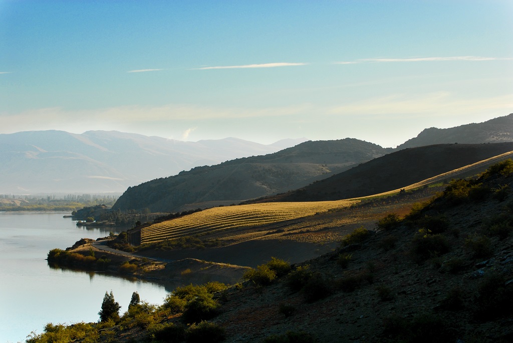 New Zealand wine’s “largest ever” year of export growth