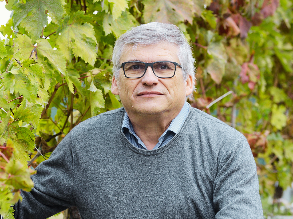 New chief editor for Australian Journal for Grape and Wine Research