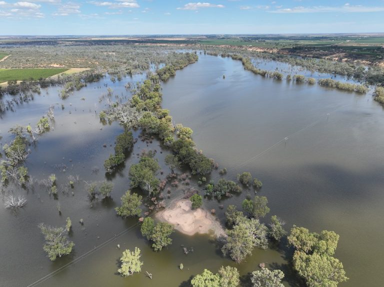 “treasuring Water” Twe Supports Biodiversity Through Wetland Program 