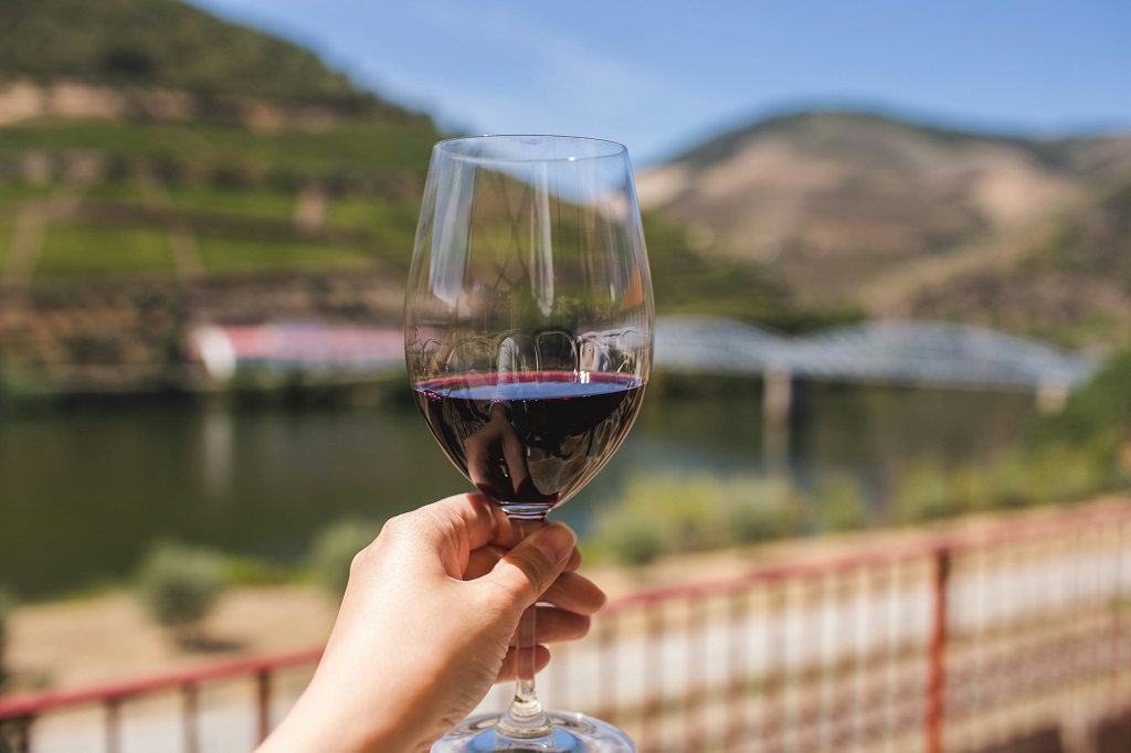 Researching the impact of humidity on wine quality