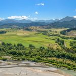 Craigmore Cat Creek vineyard Marlborough