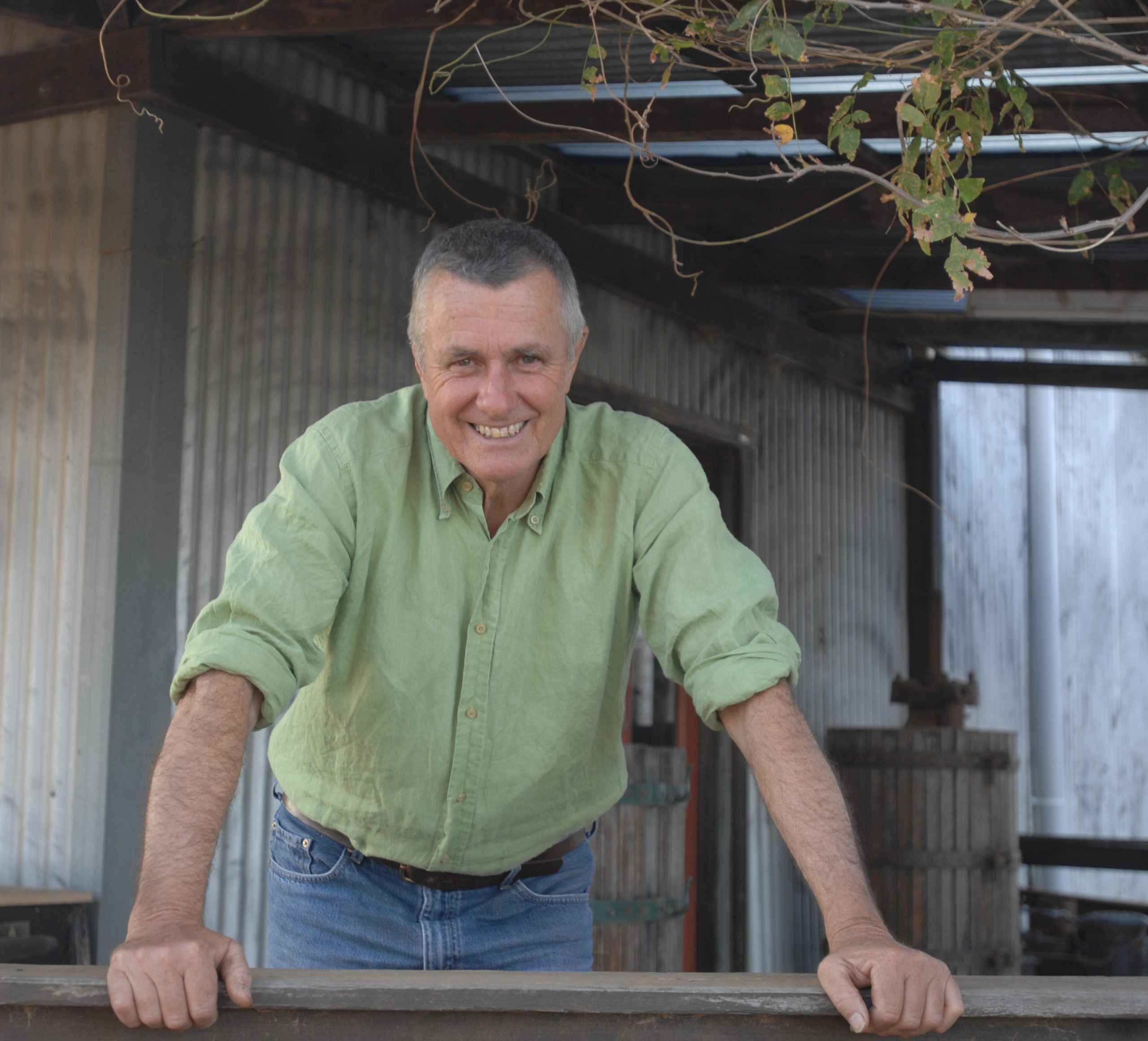 Corvina thrives in the NSW Hilltops