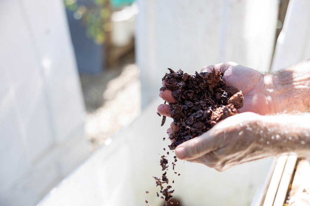 Grape marc reuse project among four recipients of Penfolds Evermore grant
