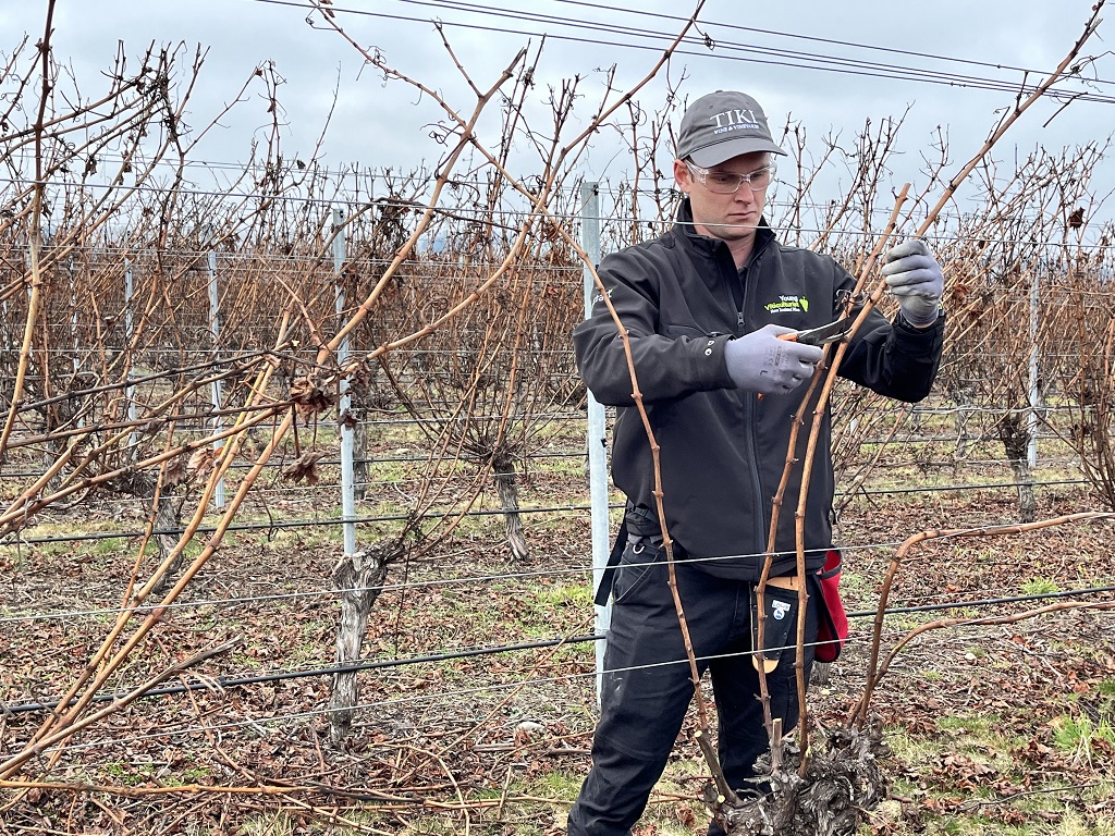 Nick McArthur announced as North Canterbury’s Young Viticulturist of the Year