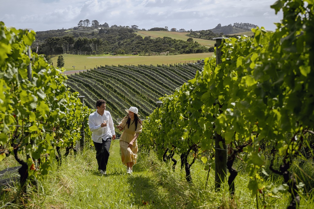 NZ cellar doors with off-license now permitted to charge for wine tastings