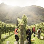 Credit.NZW.Inc.Matawhero