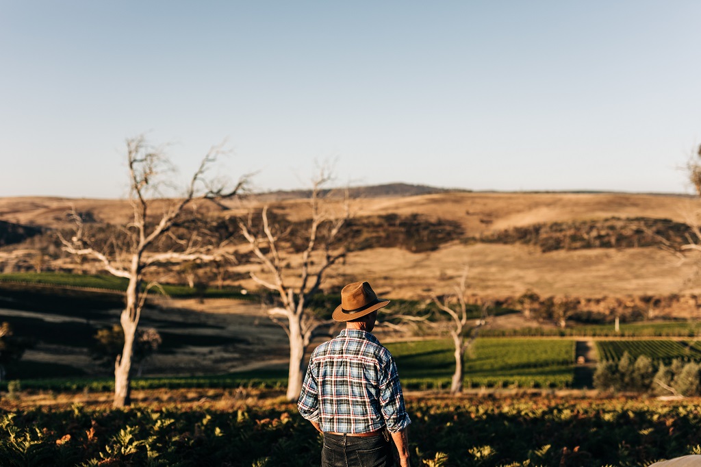 Tasmania to invest .5 million in wine sector