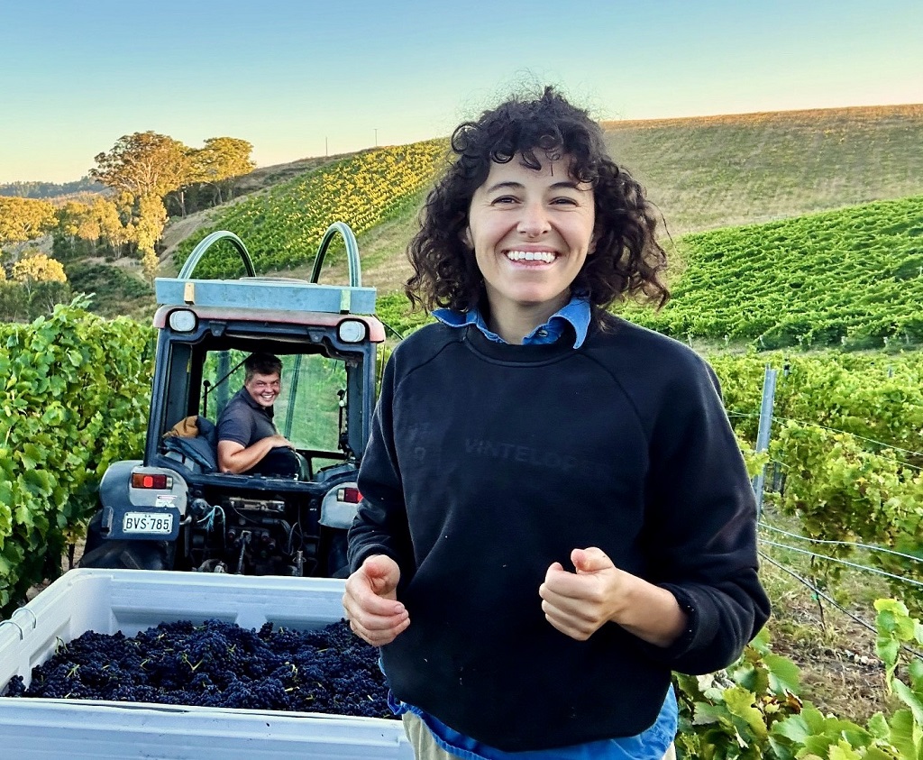 Adelaide Hills turns hat trick at cool climate wine show