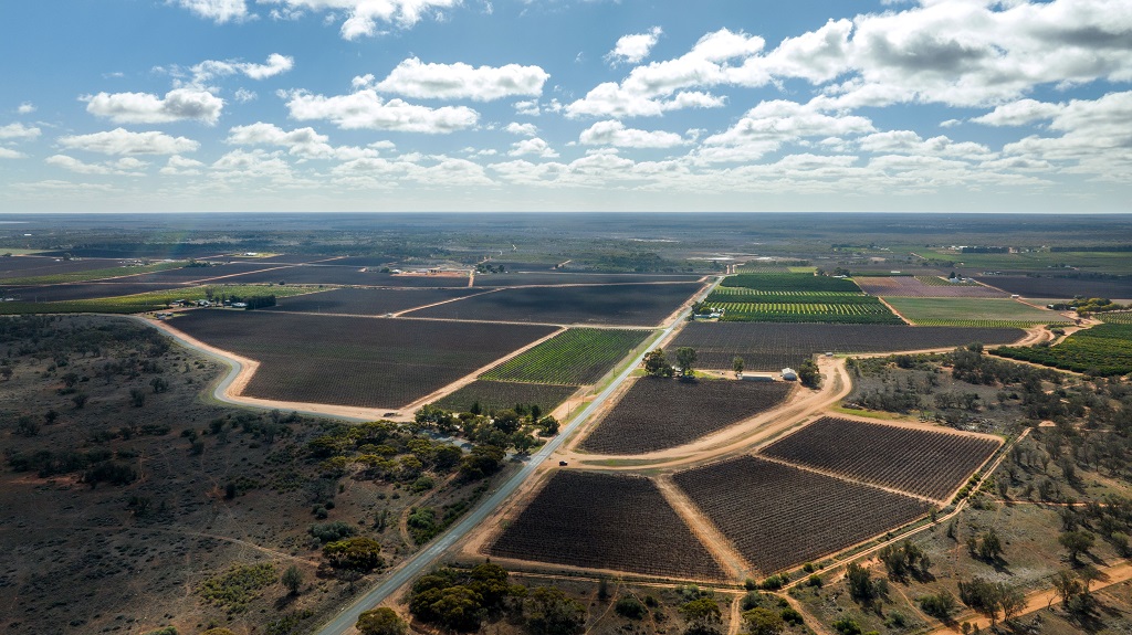Duxton to sell two NSW vineyards