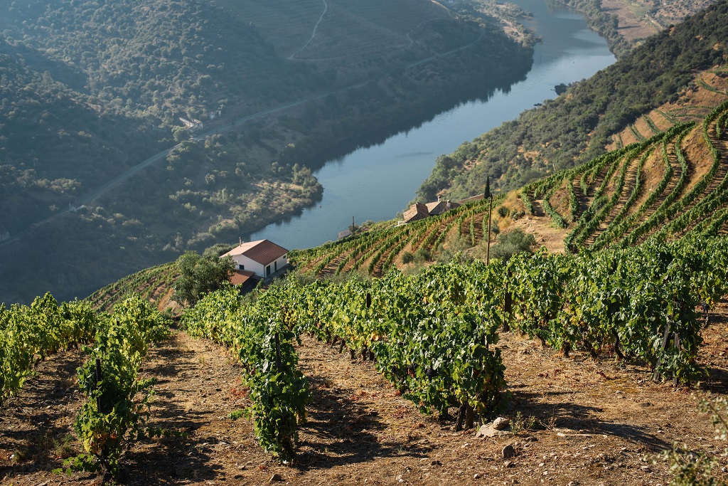 Wine tourism with a green focus