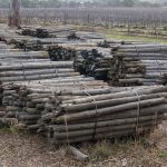 End-of-life_CCA-treated_timber_vineyard_posts_stored_correctly_Photo-Andy-Nowell