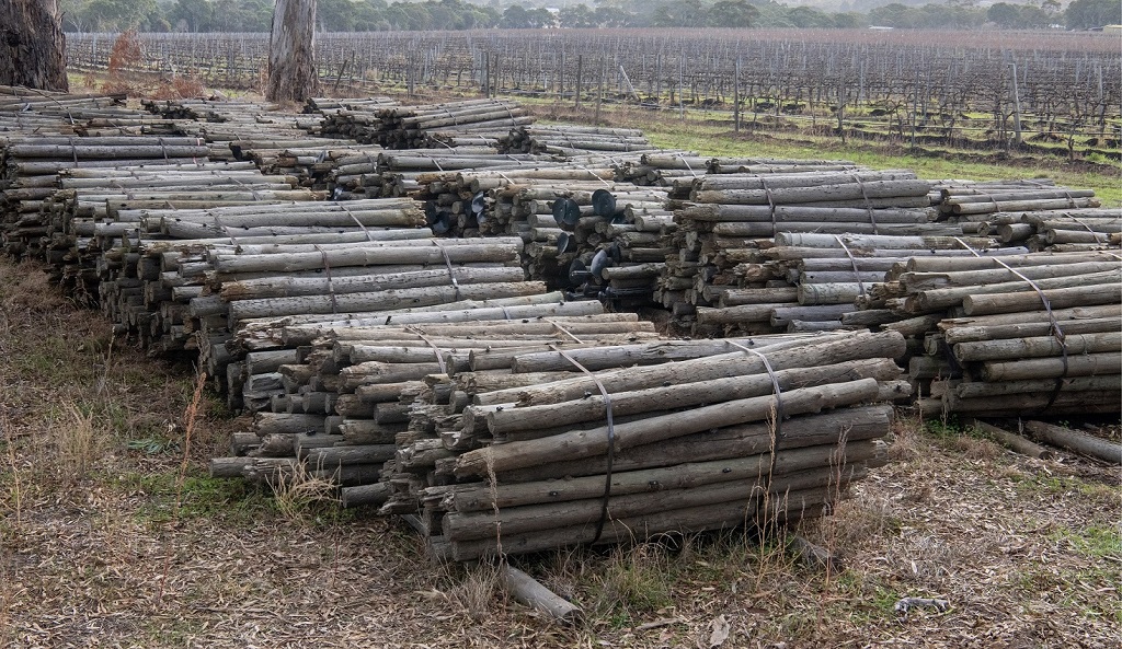 Sit tight: grapegrowers urged to wait as safe disposal methods are investigated for CCA posts