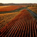 Craggy Range Vineyards