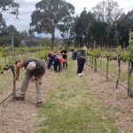Image courtesy Queensland College of Wine Tourism, Facebook