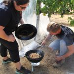 grape-and-smoke-exposure-research_51585071411_o