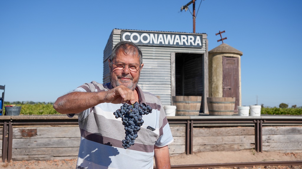 Coonawarra celebrates new vintage by reflecting on its first: just 1,800 gallons of wine in 1895