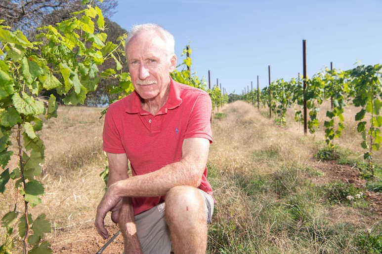 Beechworth vigneron grows grape varieties in Australia for the first time