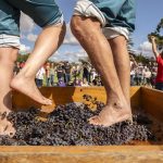 Barossa-Vintage-Festival_27
