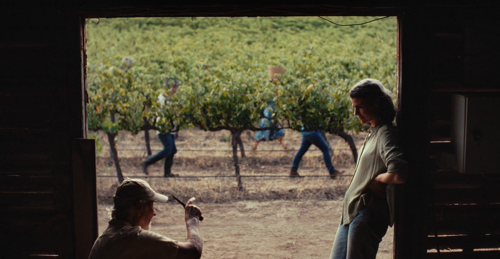 Wine at the heart of new SA tourism campaign