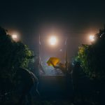 _1st – Overall Winner_Heather Daenitz_Pinot Noir at Midnight_Hi-Res