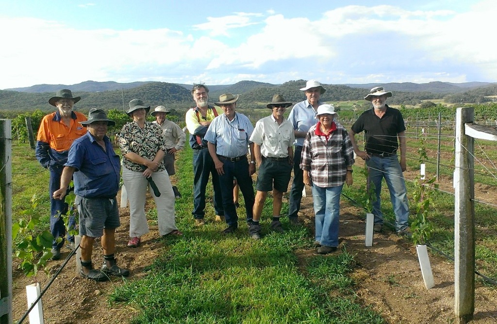 Granite Belt vineyard walks enter their 15th year with grower collaboration on show