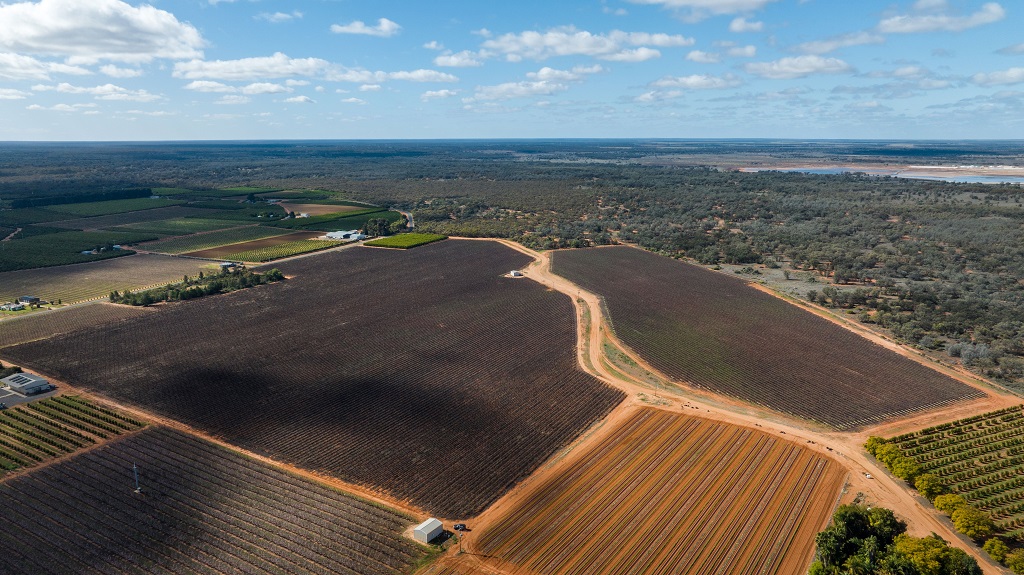 Duxton Vineyards sells two properties in NSW