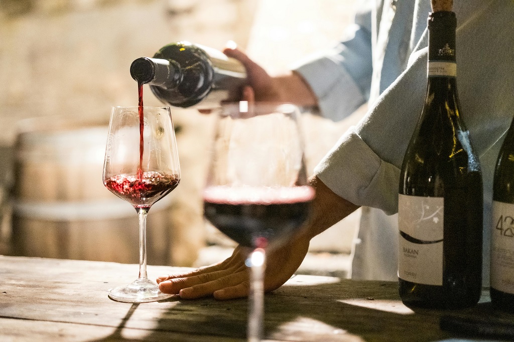 Scholarship recipients announced for new wine business and tourism education program