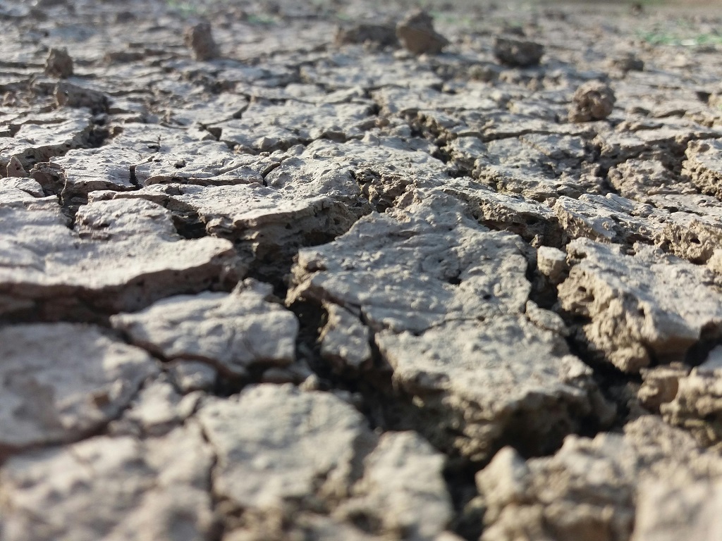 Further drought support for Victorian farmers
