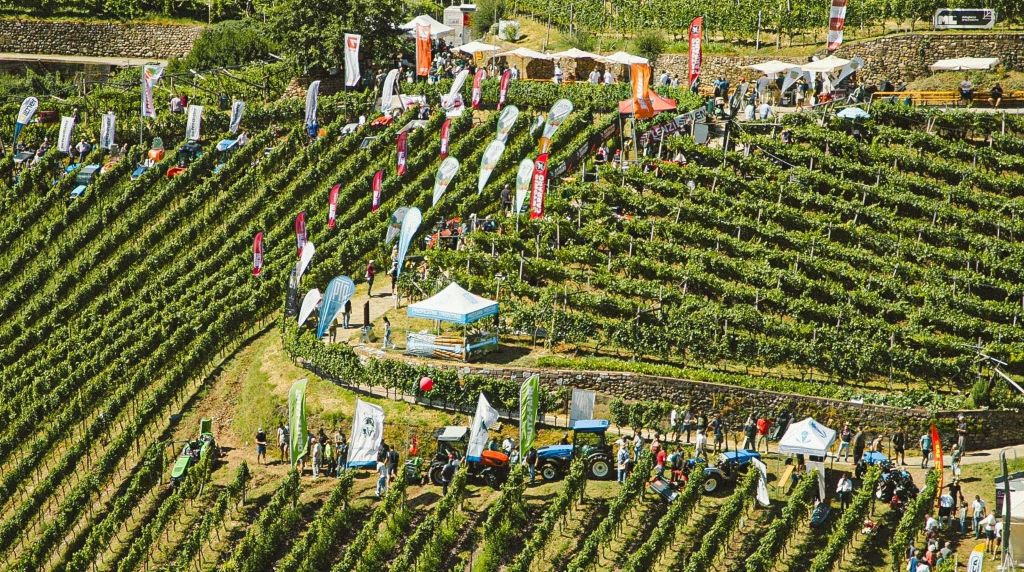 Winegrowing at 700 metres above sea level: Italy’s extreme viticulture event shows off new tech