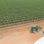Balanced decisions to balance the oversupply of wine: Riverland Wine