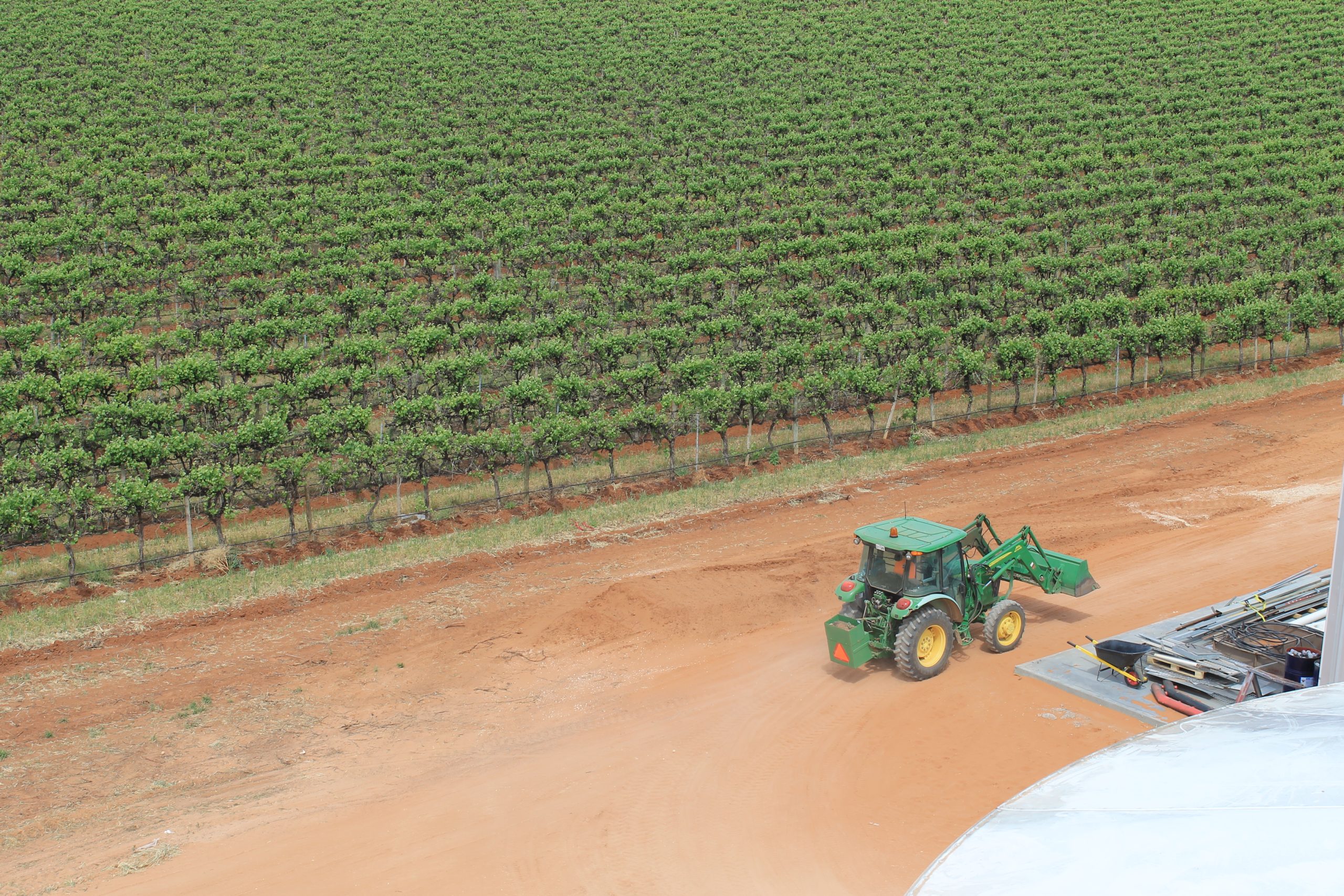 Balanced decisions to balance the oversupply of wine: Riverland Wine