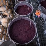 Josef Chromy Wines – credit Chris Crerar