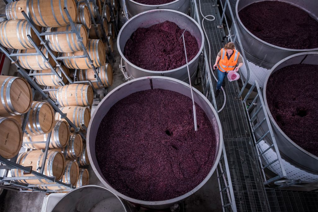 Value over volume drives record-breaking vintage for Tassie