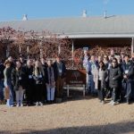 WEB – Rootlings at Yarran NSW