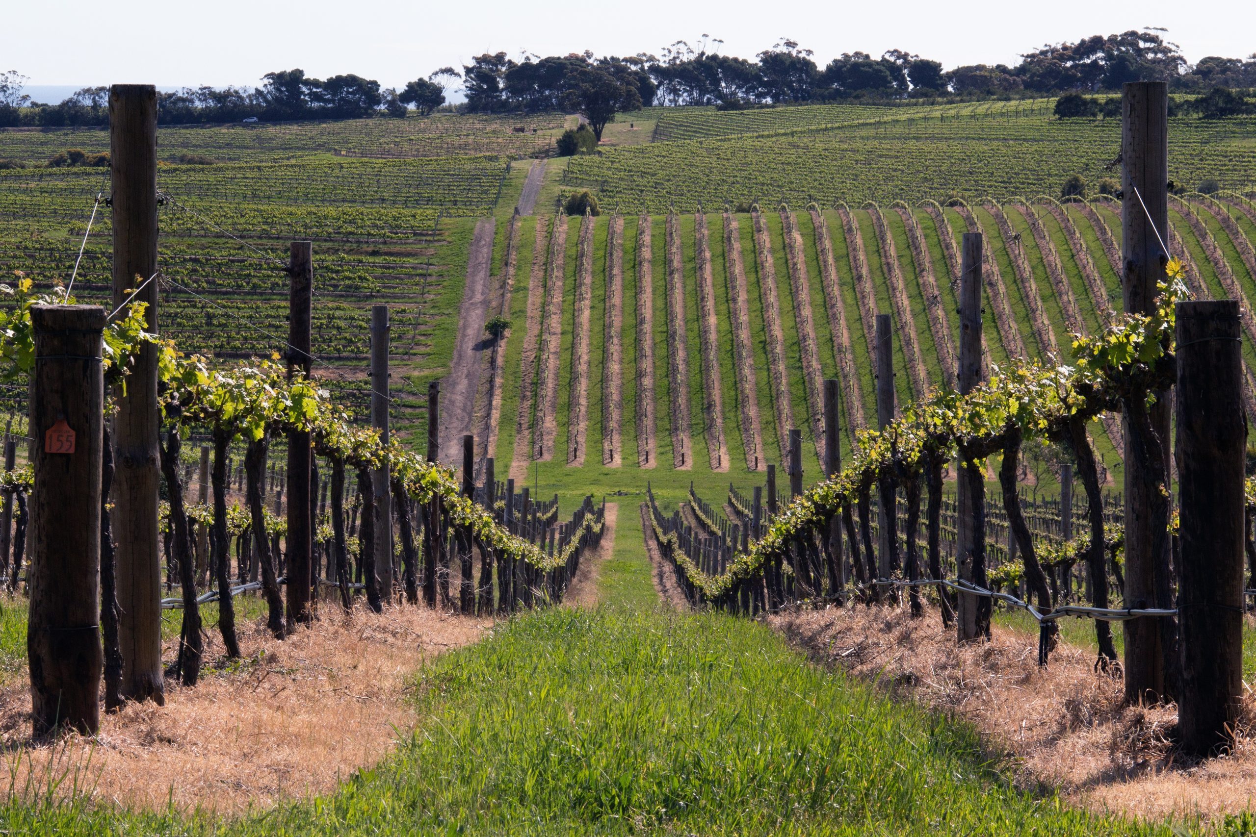 New support for wine exporters during turbulent times