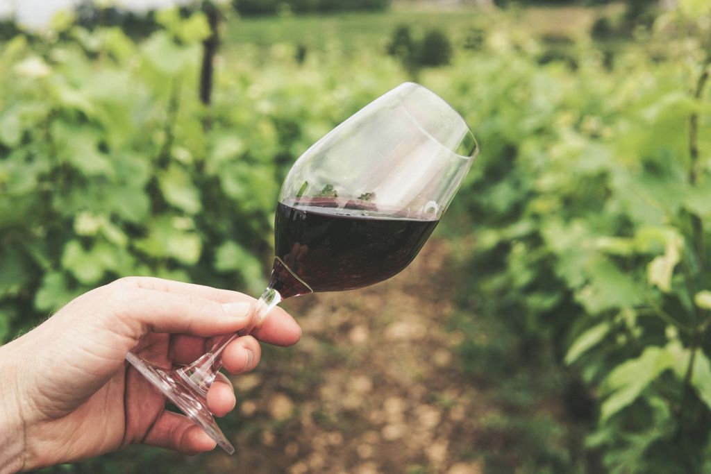 SA Wine Recovery Program to focus on domestic demand and leadership