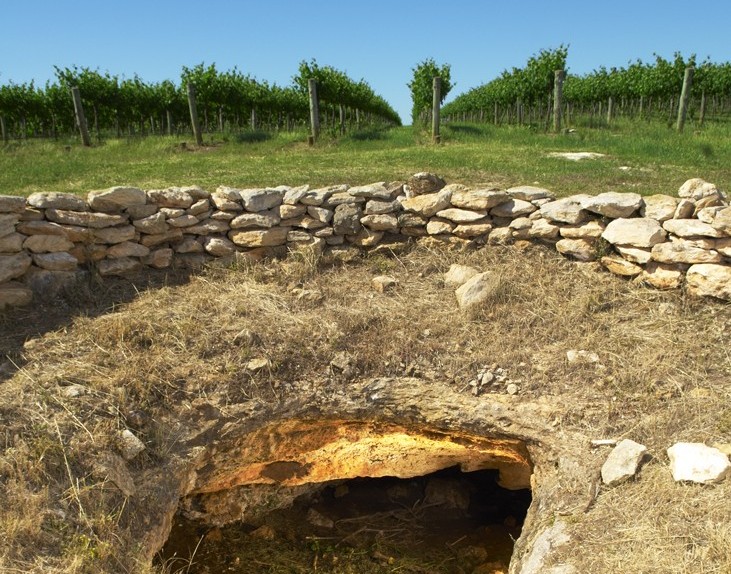 Wine industry fears its concerns over mining project are being ignored