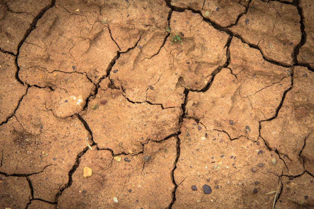 Support released for small businesses affected by drought in South Australia